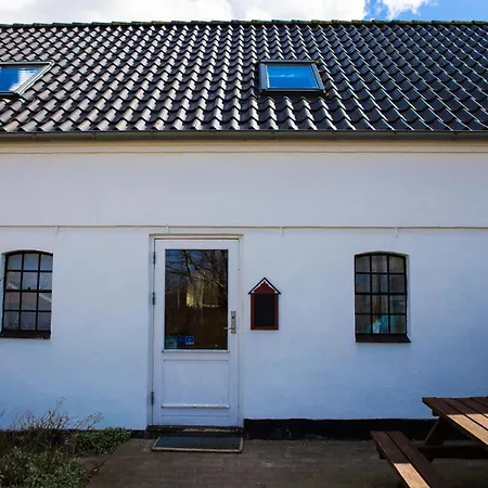 Lantgård Stutteri Skandihest *