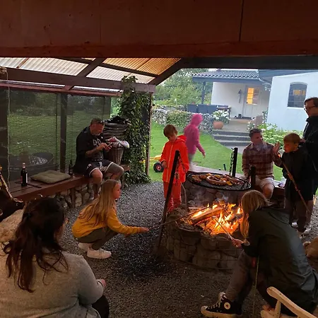 Lantgård Stutteri Skandihest *