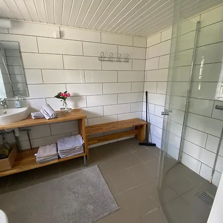 Lantgård Stutteri Skandihest *