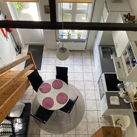 Stutteri Skandihest Lantgård Billund