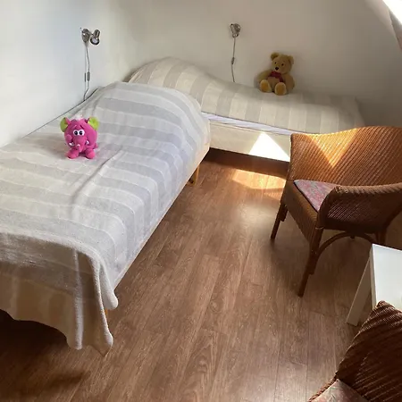 Lantgård Stutteri Skandihest Billund