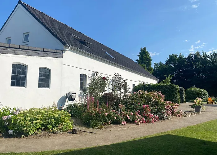Stutteri Skandihest