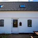 Lantgård Stutteri Skandihest *