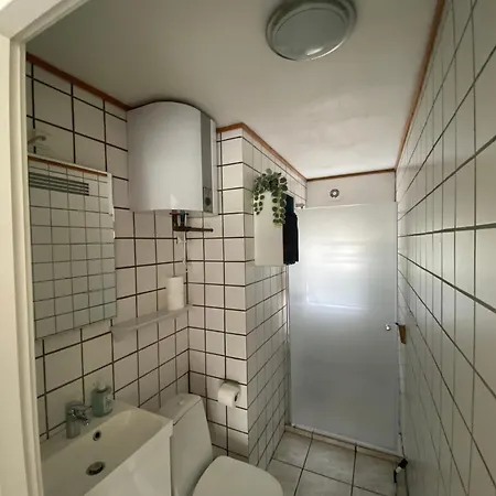 Stutteri Skandihest Billund