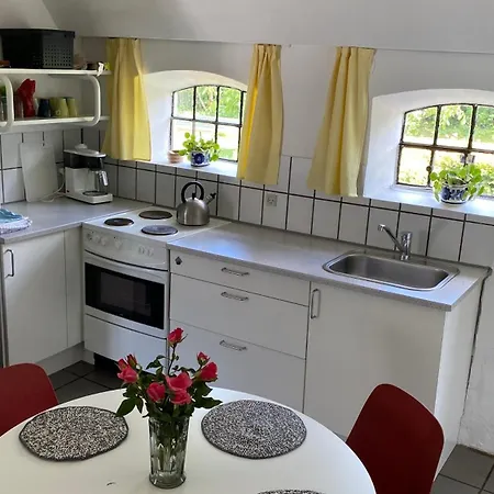 Stutteri Skandihest *