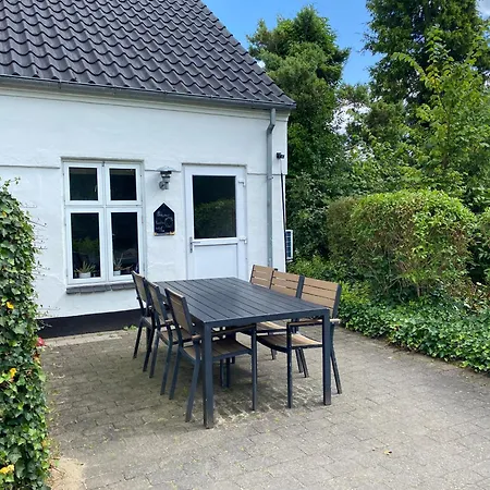 Stutteri Skandihest Billund