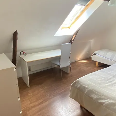 Stutteri Skandihest * Billund