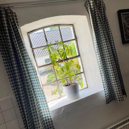 Stutteri Skandihest Κατάλυμα σε φάρμα Billund