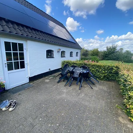 Stutteri Skandihest *