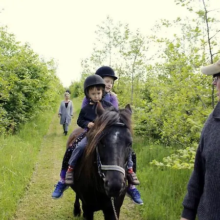 Stutteri Skandihest Κατάλυμα σε φάρμα *