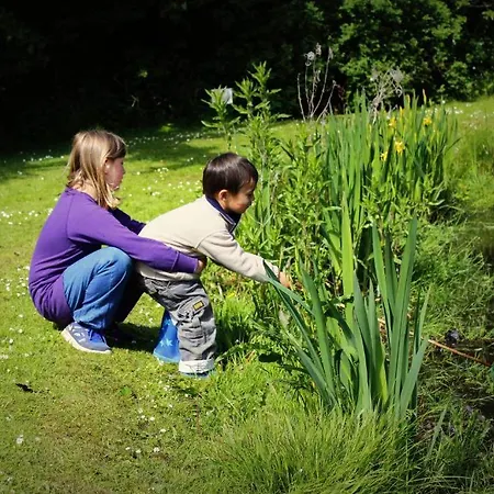 Stutteri Skandihest Κατάλυμα σε φάρμα Billund