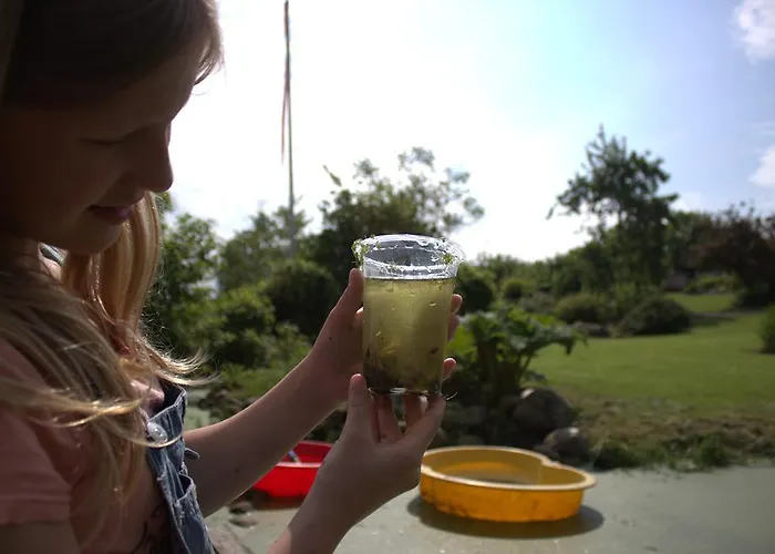 Lantgård Stutteri Skandihest