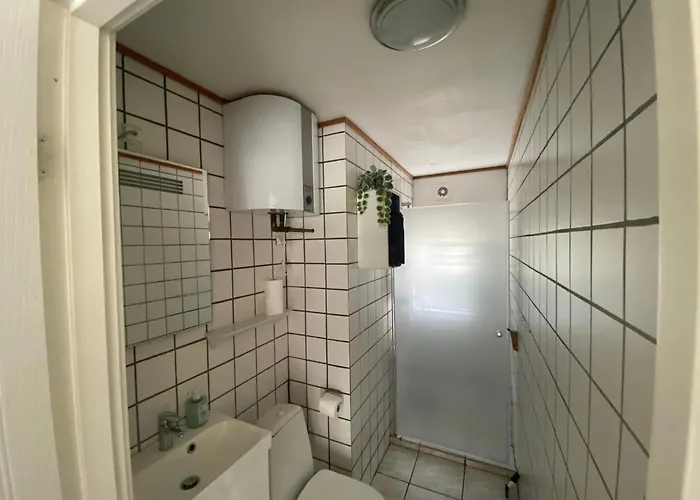 Stutteri Skandihest Billund