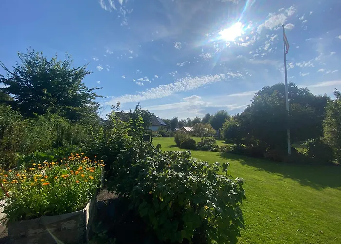 Stutteri Skandihest Feriegård *