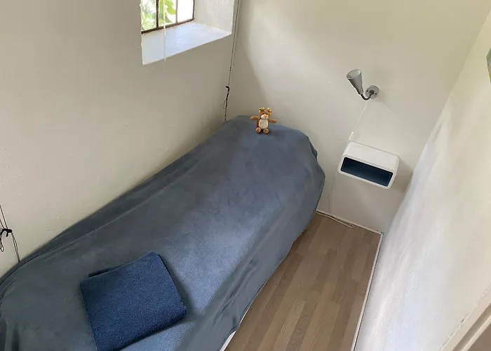 Stutteri Skandihest * Billund