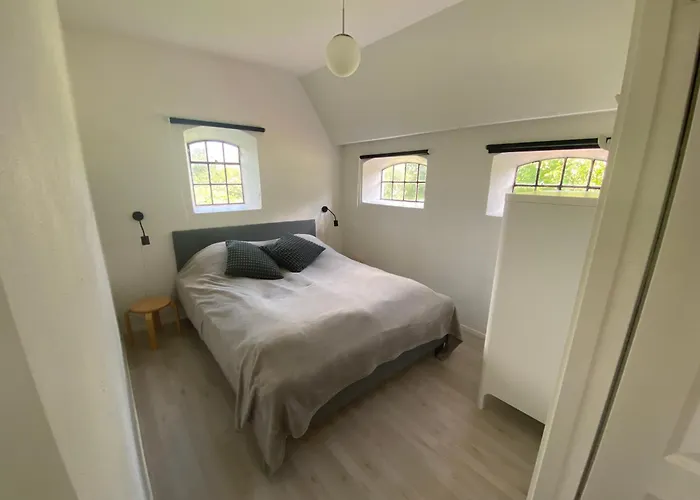 Lantgård Stutteri Skandihest