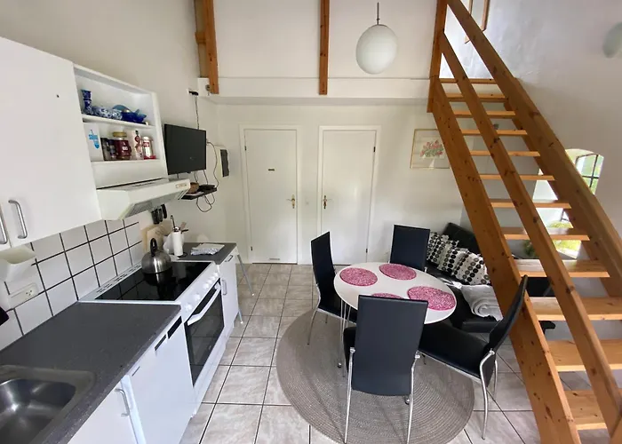 Stutteri Skandihest Lantgård *