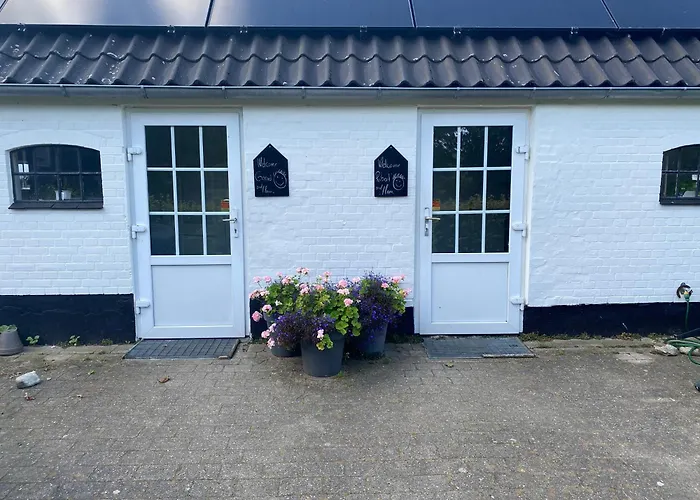 Feriegård Stutteri Skandihest Billund