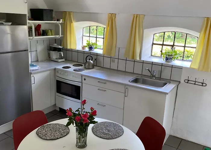 Stutteri Skandihest *