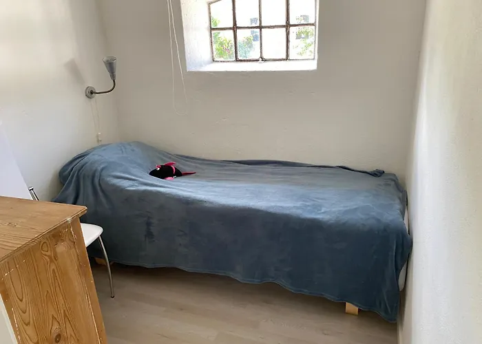 Stutteri Skandihest Lantgård