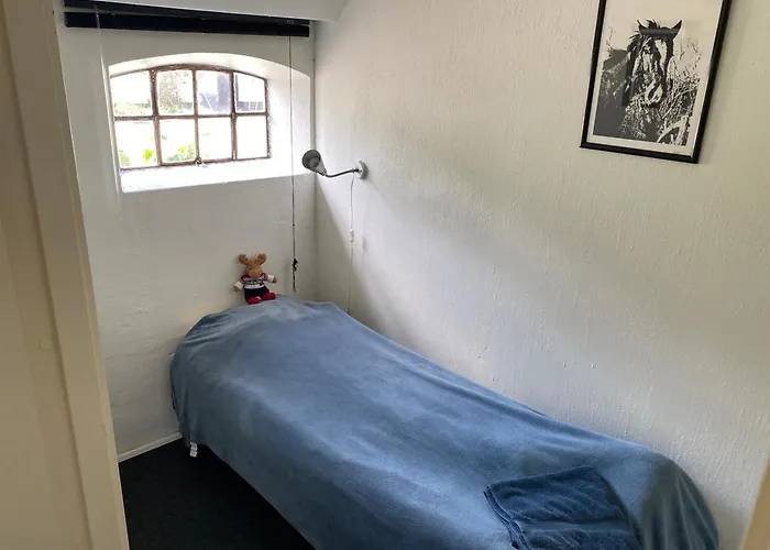 Stutteri Skandihest Feriegård *