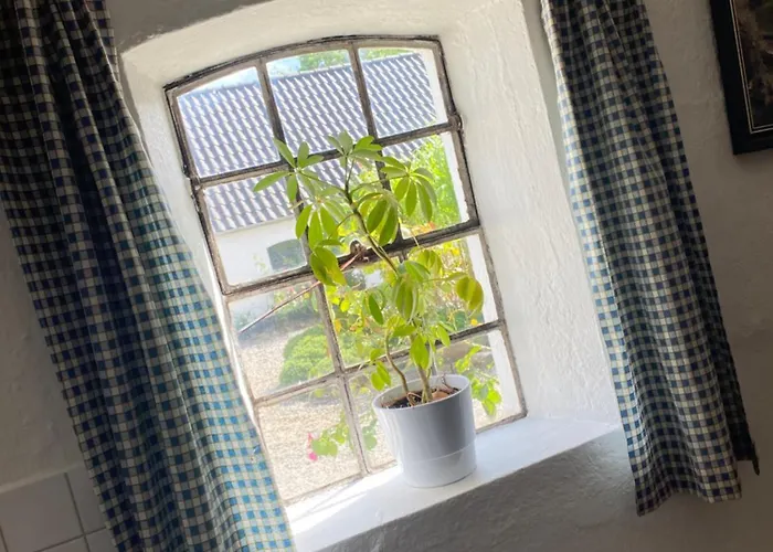 Stutteri Skandihest Alloggio per agriturismo Billund