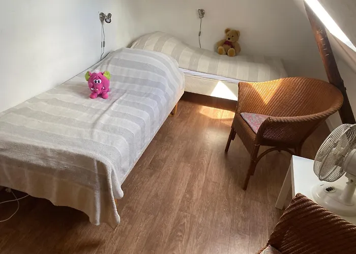 Lantgård Stutteri Skandihest Billund