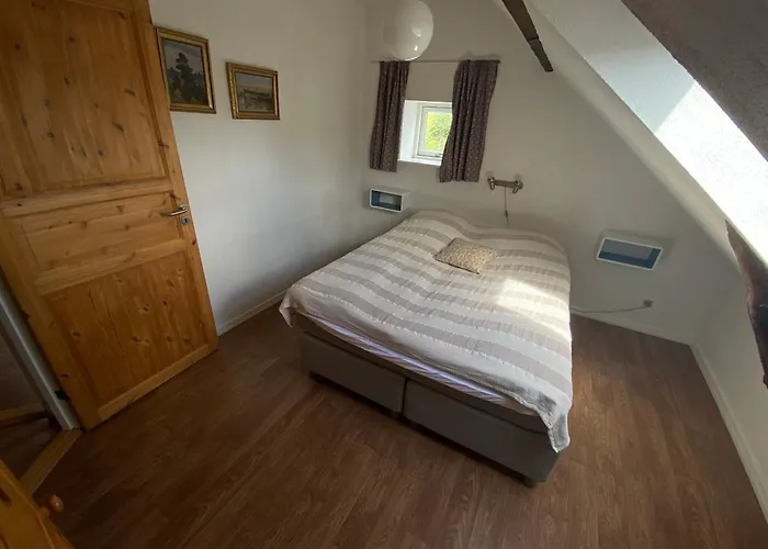 Stutteri Skandihest * Billund