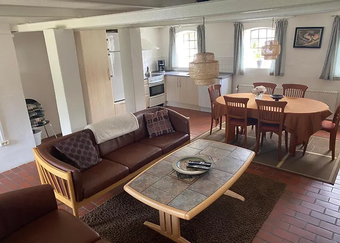 Feriegård Stutteri Skandihest