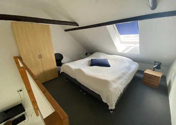 Stutteri Skandihest Billund