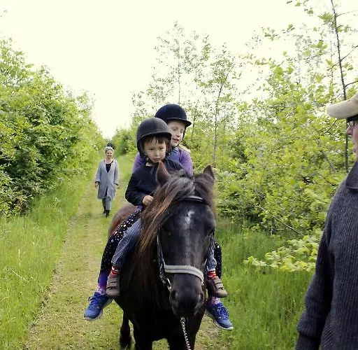 Stutteri Skandihest Feriegård *