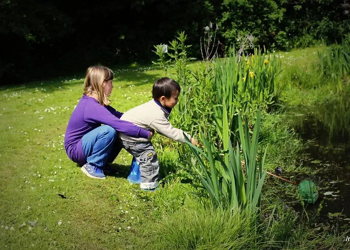 Stutteri Skandihest Alloggio per agriturismo Billund
